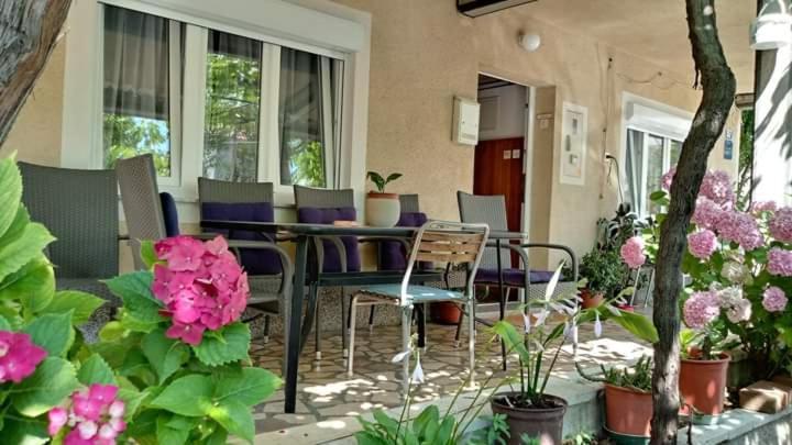 Apartman Paulina Apartment Selce Exterior photo
